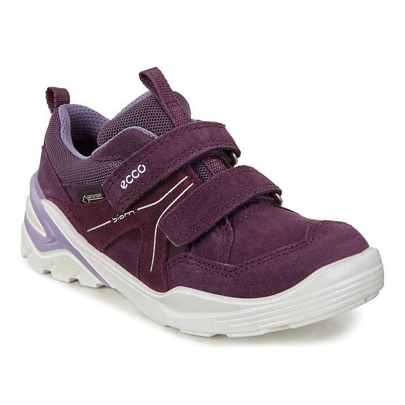 Kids Ecco Biom Vojage - Flats Shoe Purple - India VTERUG618